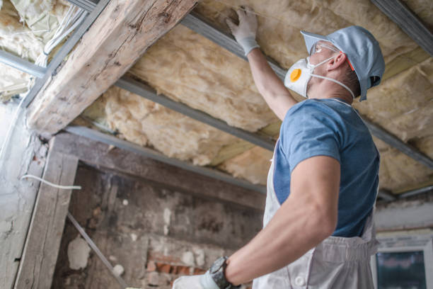 Best Insulation Maintenance and Repair in Hale Center, TX